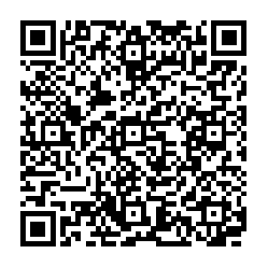 马缰长老发疯似得嚎叫旋即周围的空间猛然凝固了起来将剑尘连人带剑都给禁锢在那里二维码生成