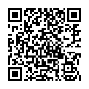 马老爷子扛着那根粗壮的铁棍回头看了颜仪一眼二维码生成