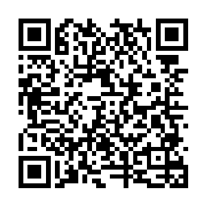马车上的花千束将原本靠在车窗边的目光收了回来二维码生成