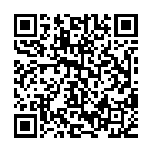 马车里的少女很显然是某一个大家族或者大势力被宠坏的后辈二维码生成