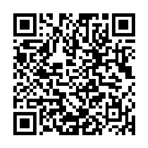 马通天吐了一口血沫子然后将一把已经泛黑的桃木剑丢在了地上二维码生成