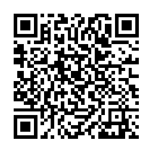 马道涵也不清楚陆为民和恽廷国之间有没有私人过节二维码生成