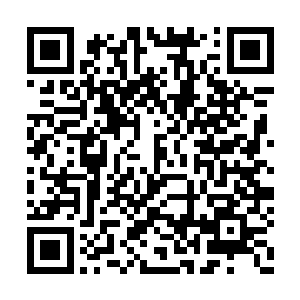 马酋长如果你觉得这严肃的地方不适合你的随性二维码生成