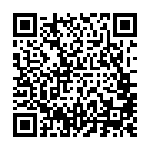 马鸣向猎海神舟之上其余几名元婴初期的修士交代了几句后二维码生成