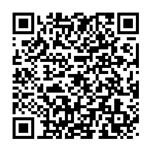 马鸣等人的确是在密谋着如何才能把吴岩等人从鳄蛟岛上驱赶出去二维码生成