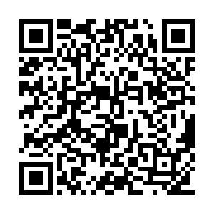 驱使人们在一个公司工作的最大的原因只有一个二维码生成