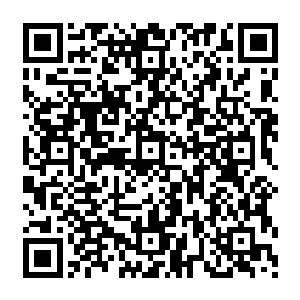 驳杂的五彩灵力因为这道粗大的青色灵力的冲击自主的团结在一起抵挡青色灵力的来势汹汹二维码生成