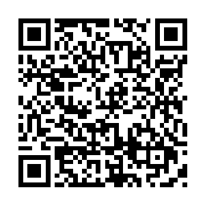 驻地内的修士全都知道祝离殇的指责是欲加之罪二维码生成