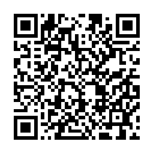 驻澳部队司令员王小利沉着脸看着身前各个显示器上的画面二维码生成