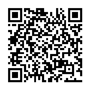 驾驭着金羽小心的靠近那颗两人高的像蚕茧一样的光茧二维码生成