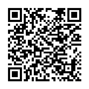 驾~怀艳你要是追不上我们就罚你一个月不许见我二维码生成