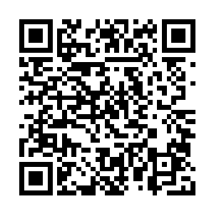 骆东君把一堆我不知道有什么用的宝物亮了出来二维码生成