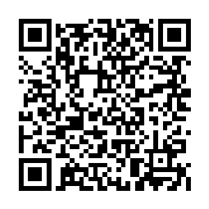 骆凤直这老疯子有时候邪得跟东海那帮家伙一样二维码生成