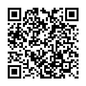 骆天明在追求杨眉的问题上已经彻底偃旗息鼓了二维码生成