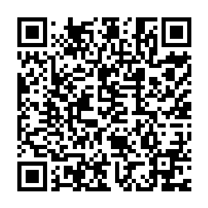 骆师兄……绮里还以为和你已经是好朋友了呢……那骆师兄想要什么二维码生成