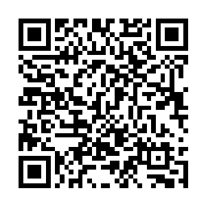 骆康敢从政府机关里跳出来无疑是嗅到了某种气味二维码生成