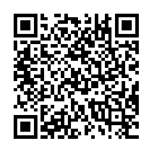 骆康这些同学他也专门打去电话告诉了自己现在的号码二维码生成