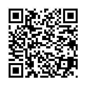 骆海依然是个货真价实的虚王两层境二维码生成