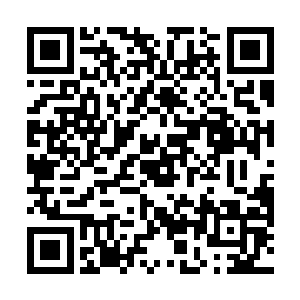 骑于一匹北凉矫健军马之上的世子殿下徐凤年自嘲一笑二维码生成