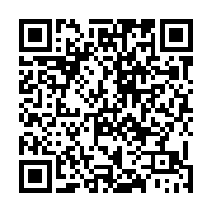 骑在高大的雪狼身上的男人以金戈铁马之势出现在战场上二维码生成