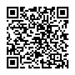 骑士们在这里的谈话也不用担心被外面的人听了去二维码生成