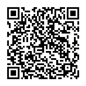 骑士强大的能力让他们两个在这种时候哪怕闭着气几个小时不呼吸都没事二维码生成