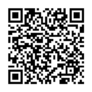 骚包的一水儿酒红色的新桑塔娜紧紧的排了一舒排儿二维码生成