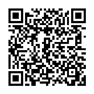 骚包的开路车引着几十辆骚包红的新普桑直奔着明珠市中心而去二维码生成