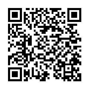 骤然间原本还缓缓移动的阴阳之灵骤然间一下子化作两道流光二维码生成