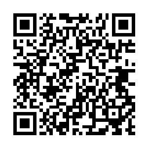 骤然间见到如此之多的蚩家魔族高阶战魔出现在此二维码生成