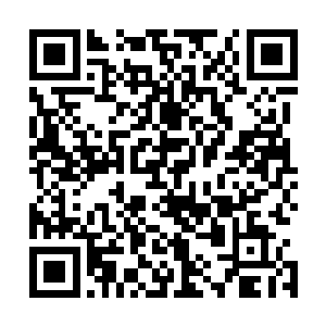 骨器店老板拿起柜台上的抹布擦拭着尖刀说他家大狗有分寸二维码生成