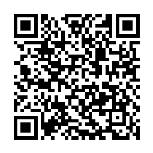 骨子里早已经废了……自从他们打算来到天钓台伊始二维码生成