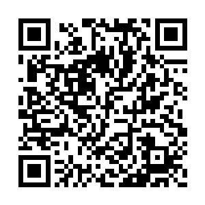 骨子里是个野丫头装的再像也改变不了这一事实二维码生成