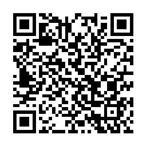 骨节分明的修长大掌轻巧地握住苏落那劈下的手刀二维码生成