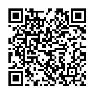 骷髅僵尸王居然是将两只巨大的白骨手臂挡在了脑袋上二维码生成