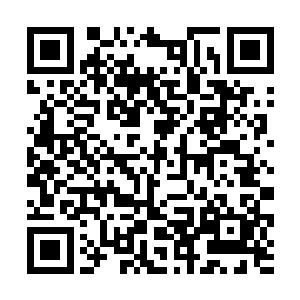 骷髅兵团是蓝魅城方圆千万里的一个比较强大的兵团二维码生成