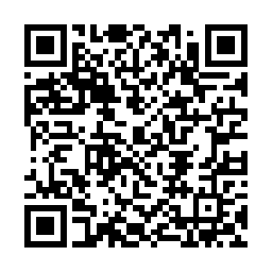 高俅高太尉不就是因吾主慧眼识珠而发掘出来的忠臣二维码生成