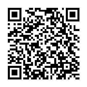 高初不相信陆为民这么一帆风顺连升三级背后没有夏力行的影子二维码生成