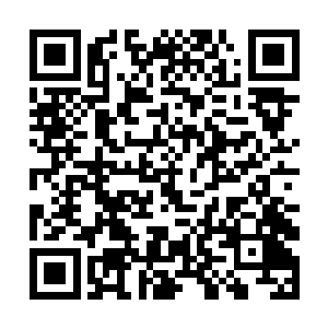 高加索犬似乎在嗅闻那空气中弥漫的硝烟味跟血腥气二维码生成