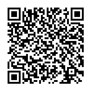 高四五米的重甲地龙和一头身高十米的巨臂猿猴正在激烈的战斗着二维码生成