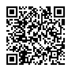 高大上的辩驳在南开羚等人的耳内听起来虽是狡辩二维码生成