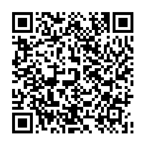 高大熊诸人便是能看到上百上千上万的伏击高手以诡异的状态一个个坠落下来二维码生成