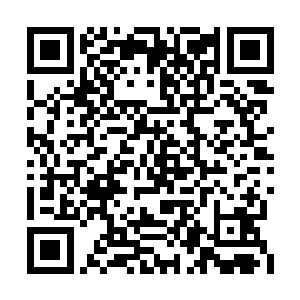 高大的身体完全将小巧的女子遮挡在他的阴影中二维码生成