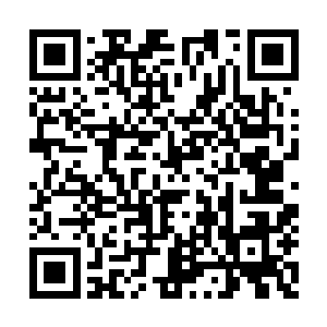 高家镇的镇长王家坤和书记高贵峰在高家镇路口二维码生成