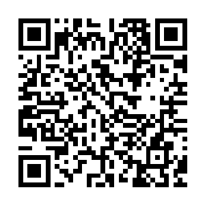 高层到底要如何争取和交换……天仙都开始学习建立雏形世界二维码生成