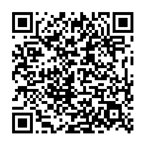 高屐这个蔡党铁杆心腹和蔡家这位大爷对面撞一个跟头都能互相不说话二维码生成