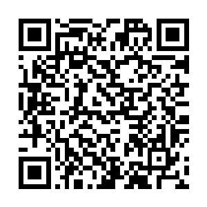 高希望为了在秦洛面前表现自己在圈子里人脉广面子大二维码生成