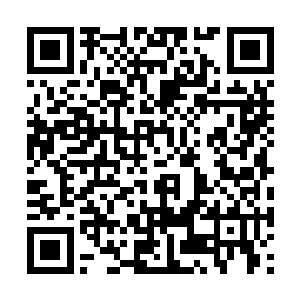 高扬也得先确认那个杀掉了很多人的是否是李金方二维码生成