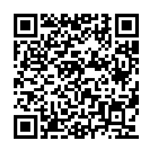 高扬从此不再当雇佣兵继续过刀口上添血的生活二维码生成