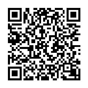 高扬他们坐进了一个巴格达本地菜做的不错的饭店里二维码生成